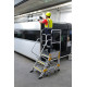 PALCO SAFE 5 GRADINI + PIATTAFORMA