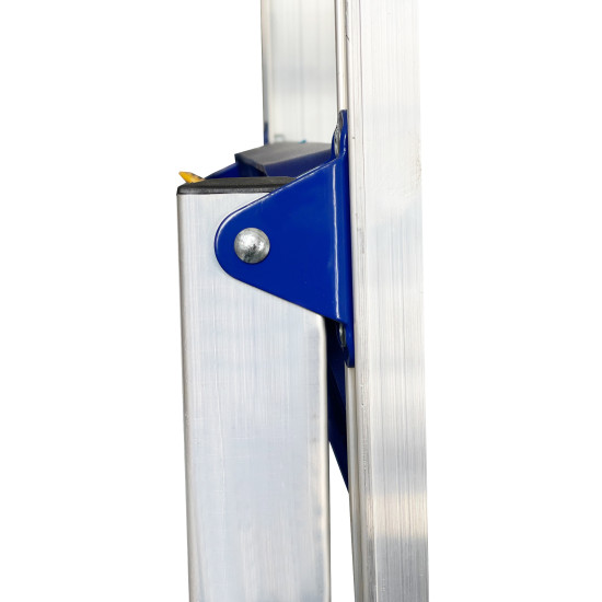 REGINA SPECIAL 05 GRADINI